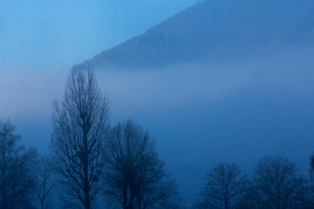 Fog coming in the valley over the river Mosel near Cochemのeditorial素材