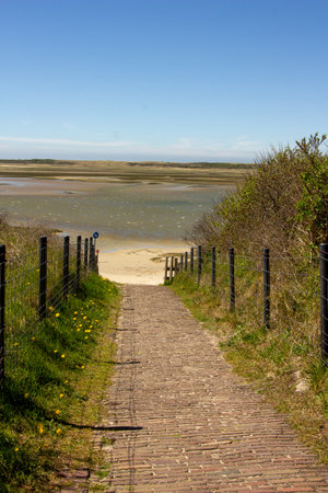 Nature reserve on the island Texel in the Netherlandsのeditorial素材