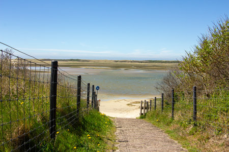 Nature reserve on the island Texel in the Netherlandsのeditorial素材