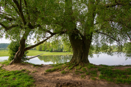 Nature reserve the Blue Chamber in Gelderland