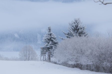 A wooden hunting lodge on the field surrounded by mistの写真素材