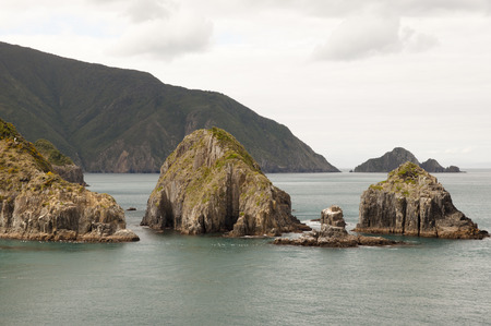 Marlborough Sound - New Zealandの写真素材