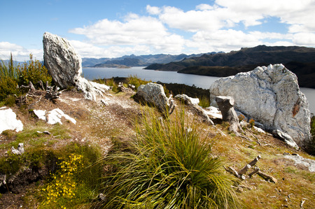 Pedder Lake near Gordon Dam - Tasmaniaの写真素材