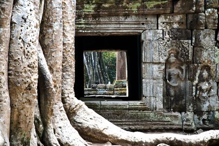 Tree Root Overgrowth - Angkor Thom - Cambodiaの写真素材