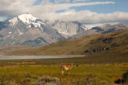 Torres Del Paine National Park - Chileの写真素材