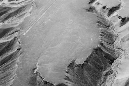 The Hummingbird - Nasca Lines - Peru