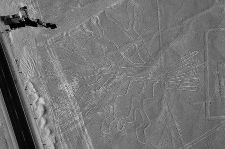 The Tree - Nasca Lines - Peruの写真素材