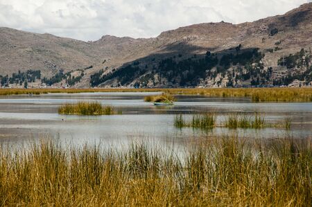 Lake Titicaca - Peruの写真素材