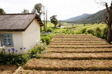 Bopaththalawa - Sri Lankaの写真素材