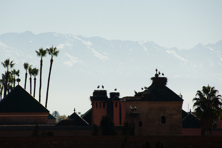 Storks in Nest Silhouette - Marrakesh - Moroccoの写真素材