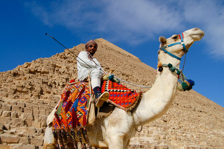 GIZA PLATEAU, CAIRO - JANUARY 24, 2010: Bedouin on his camel posing in front of the Khafre pyramidのeditorial素材