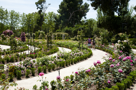 Retiro Park - Madrid - Spainの写真素材
