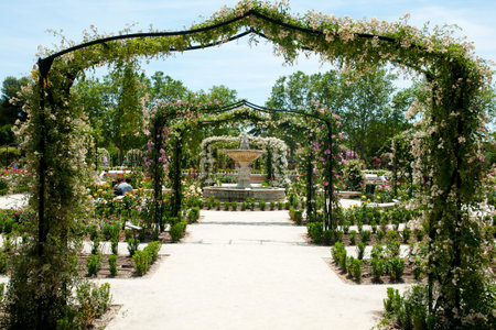 Retiro Park - Madrid - Spainの写真素材