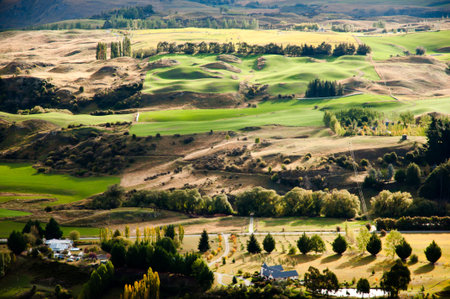 Rolling Hills - New Zealand