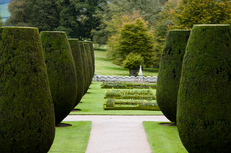 Lanhydrock Garden - Bodmin - Englandの写真素材