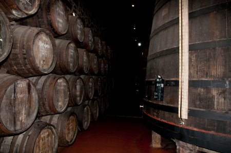 Port Wine Barrels - Porto - Portugal