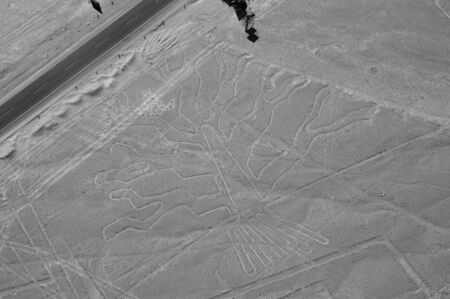 The Tree - Nasca Lines - Peruの写真素材