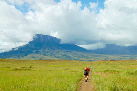 Mount Roraima - Venezuelaの写真素材