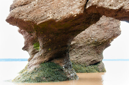Hopewell Rocks - New Brunswick - Canadaの写真素材