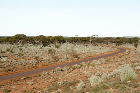 Off Road Track in the Outbackの写真素材