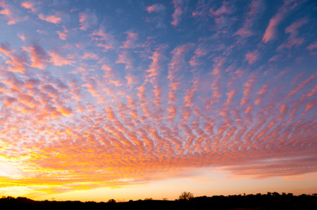 Cirrostratus Sunset