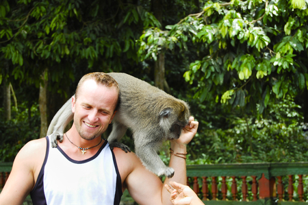 Tourist in Ubud Monkey Forest - Bali - Indonesiaの写真素材