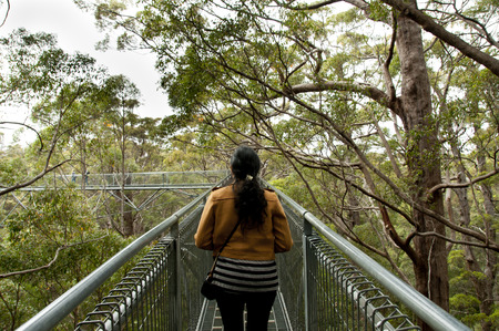 Tree Top Walk - Walpole - Australiaの写真素材