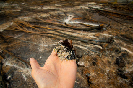 Bush Fire Devastation in Australia