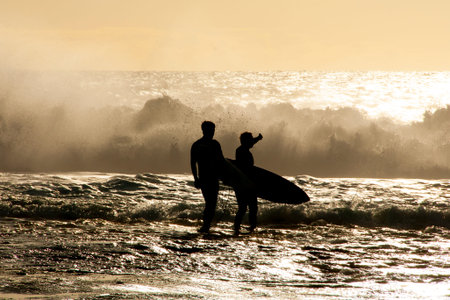 Silhouette of Surfers in Oceanの写真素材