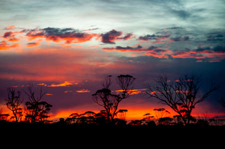 Sunrise in the Outback - Australiaの写真素材