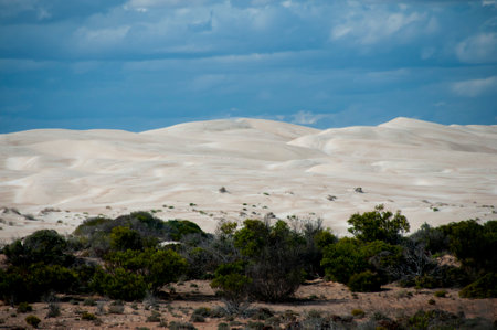 Point Sinclair Sand Dunes - South Australiaの写真素材