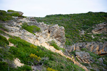 Limestone Rock on Oceanic Coast - Australiaの写真素材