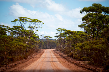 Off Road Track in the Countrysideの写真素材