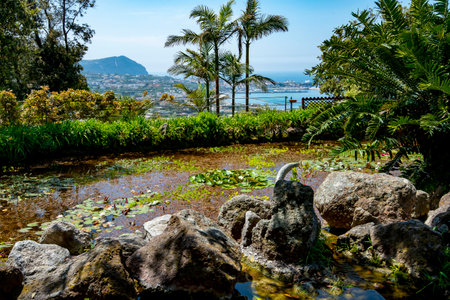 La Mortella Garden in Isola d'Ischia - Italyの写真素材