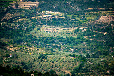 Agricultural Fields in Nuoro - Sardinia - Italyの写真素材