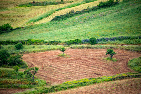 Agricultural Fields in Ragusa - Sicily - Italyの写真素材