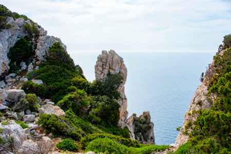 Natural Park of Porto Conte - Sardinia - Italyの写真素材