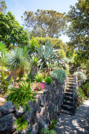 La Mortella Garden in Isola d'Ischia - Italyの写真素材