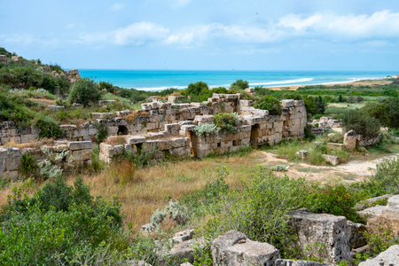 Selinunte Archaeological Park - Sicily - Italyの写真素材