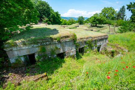 Etruscan Necropolis of Crocifisso del Tufo - Orvieto - Italyの写真素材