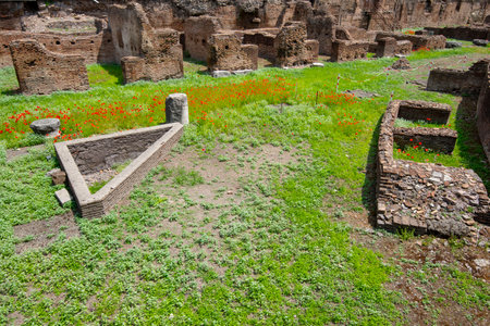 Ruins of Ludus Magnus - Rome - Italyの写真素材