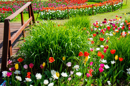 Araluen Gardens - Western Australiaの写真素材