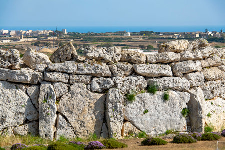 Ggantija Temples - Gozo - Maltaの写真素材