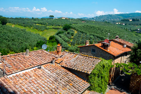 Panoramic view of Tuscany, Italy. Tuscany is famous for its wine production.の写真素材