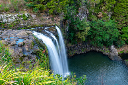 Whangarei Falls - New Zealand
