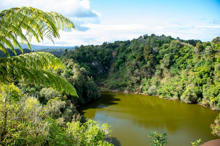 River in the rainforest of Rio Grande do Sul, Brazil.の写真素材