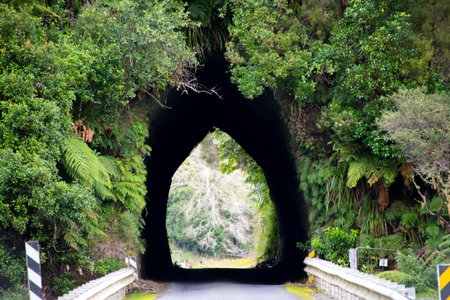 A tunnel in the middle of the forestの写真素材
