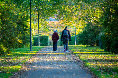 Couple walking in the park in autumn. Back view of a man and woman walking in the park.の写真素材