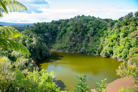 Landscape view of a lake in the middle of a tropical forest