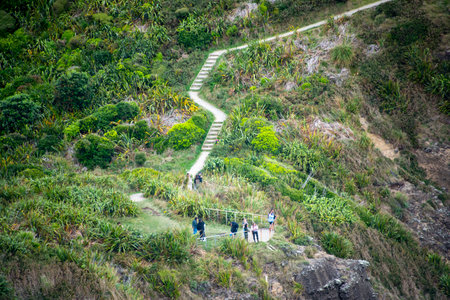 People walking on the trail at Doi Inthanon National Park, Chiang Mai, Thailandの写真素材